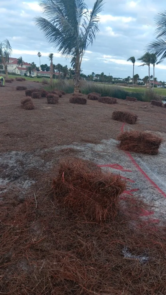 Trusted yard cleanup service for year-round maintenance across Immokalee, FL - Perez Lawn Service
