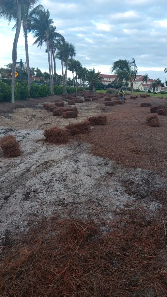 Reliable outdoor landscaping in Immokalee, FL - Perez Lawn Service