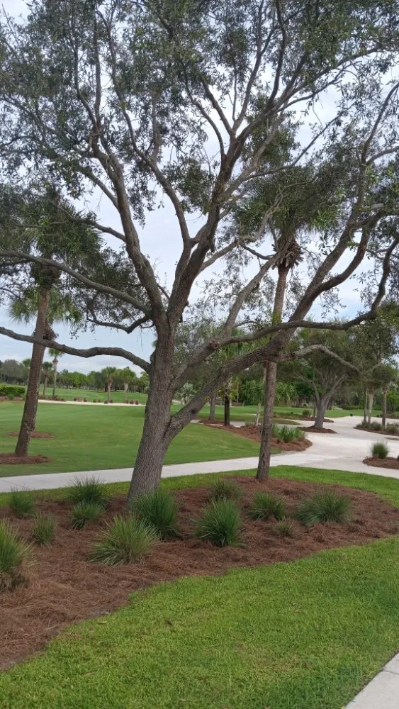 Professional lawn mowing service in Immokalee, FL by Perez Lawn Service