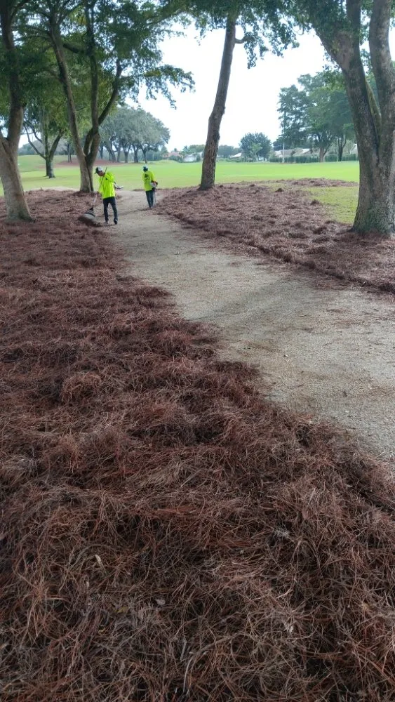 Expert yard cleanup service near you across Immokalee, FL - Perez Lawn Service