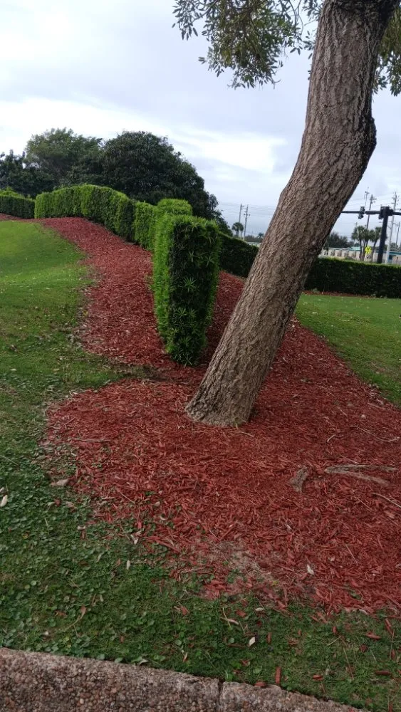 Expert yard maintenance in Immokalee, FL by Perez Lawn Service