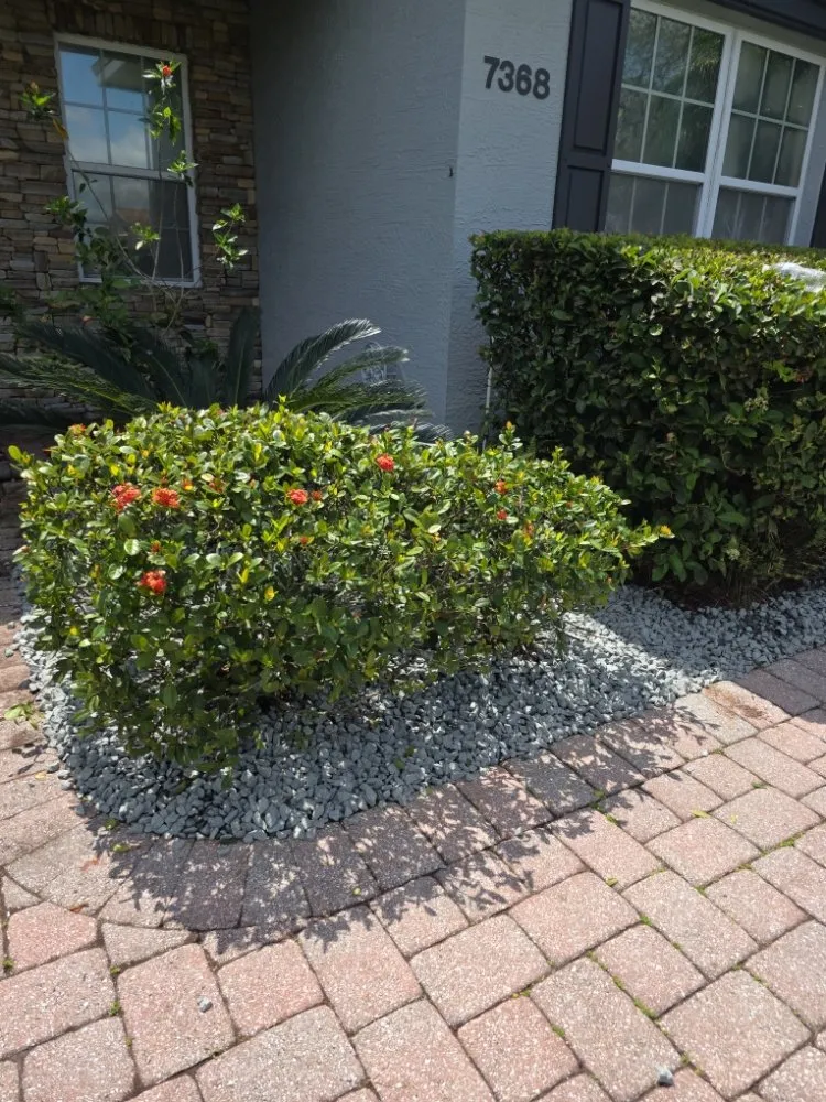 Professional landscape installation in Lakeland, FL - Perez Lawncare