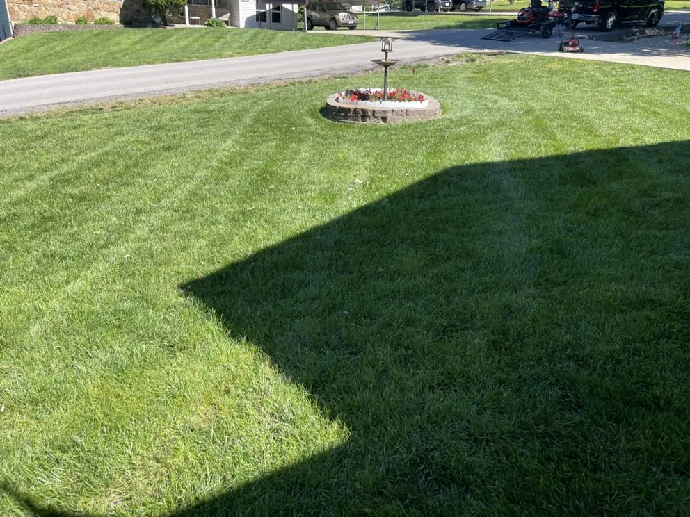 Expert lawn care service in Saint Robert, MO - Perez Lawncare