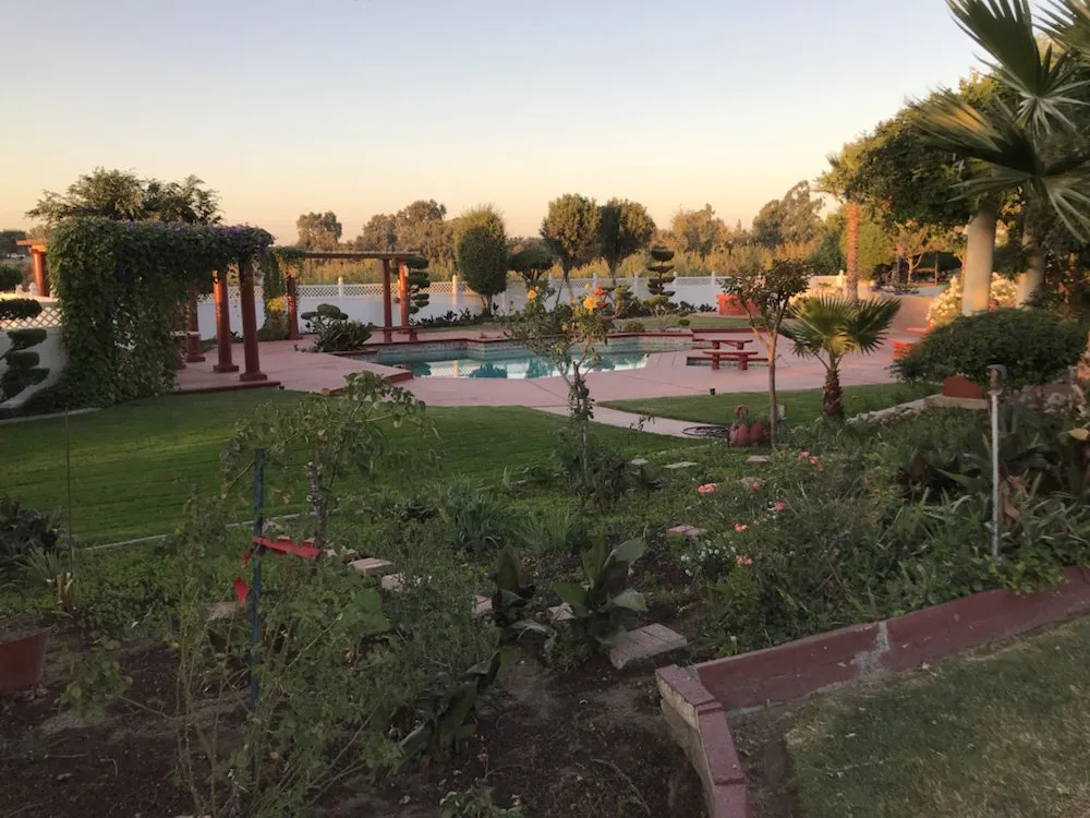 Local outdoor landscaping for outdoor upgrades in Modesto, CA by Perez Maintenance