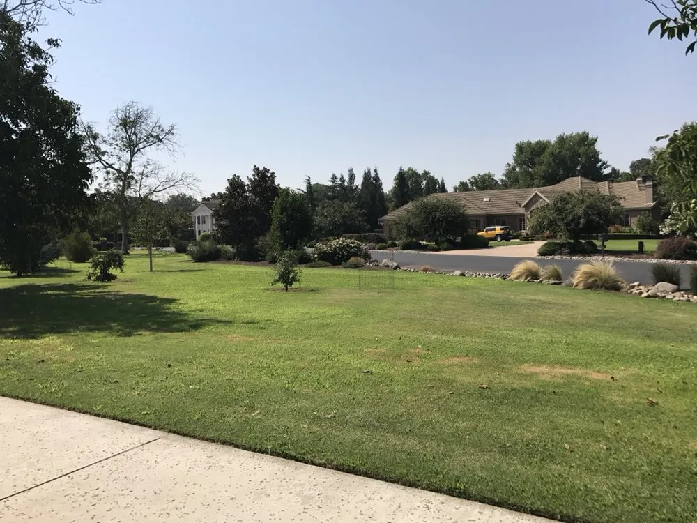 Expert landscaping services for outdoor upgrades across Modesto, CA - Perez Maintenance