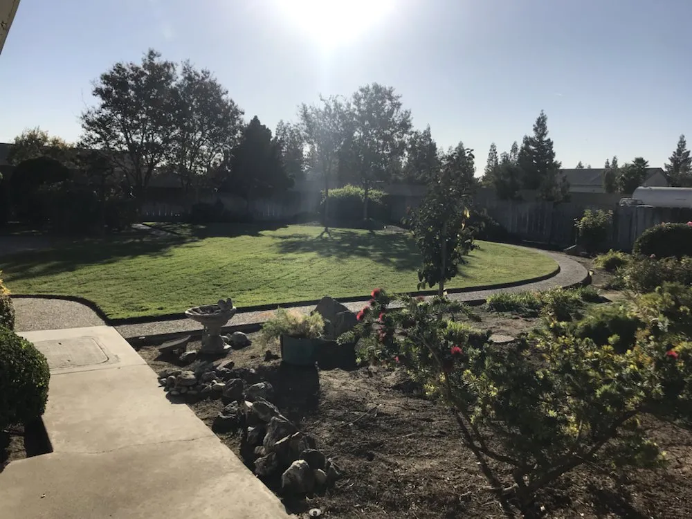 Affordable yard maintenance in Modesto, CA by Perez Maintenance