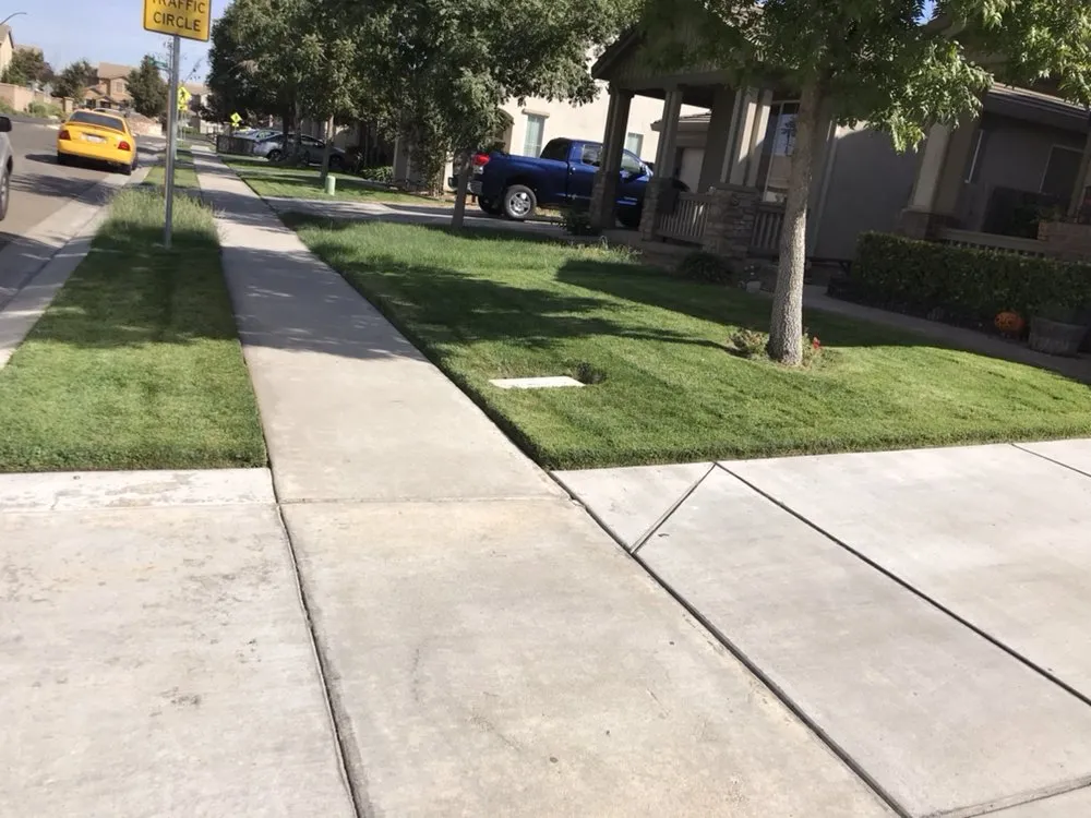 Professional outdoor landscaping in Modesto, CA by Perez Maintenance