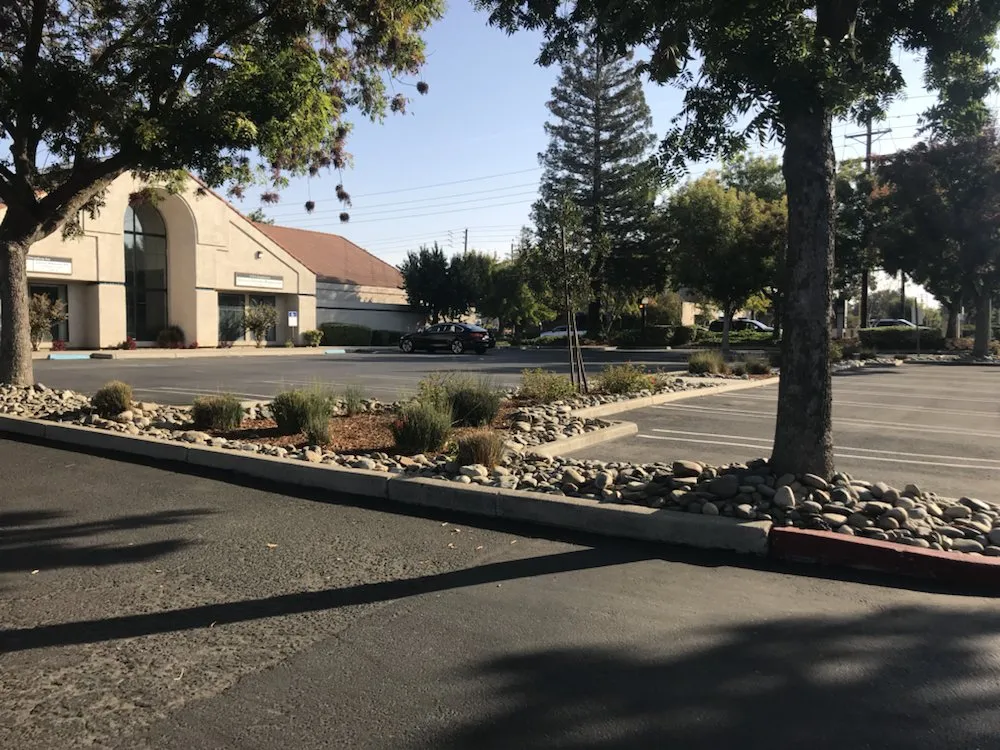 Expert yard cleanup service for year-round maintenance across Modesto, CA - Perez Maintenance