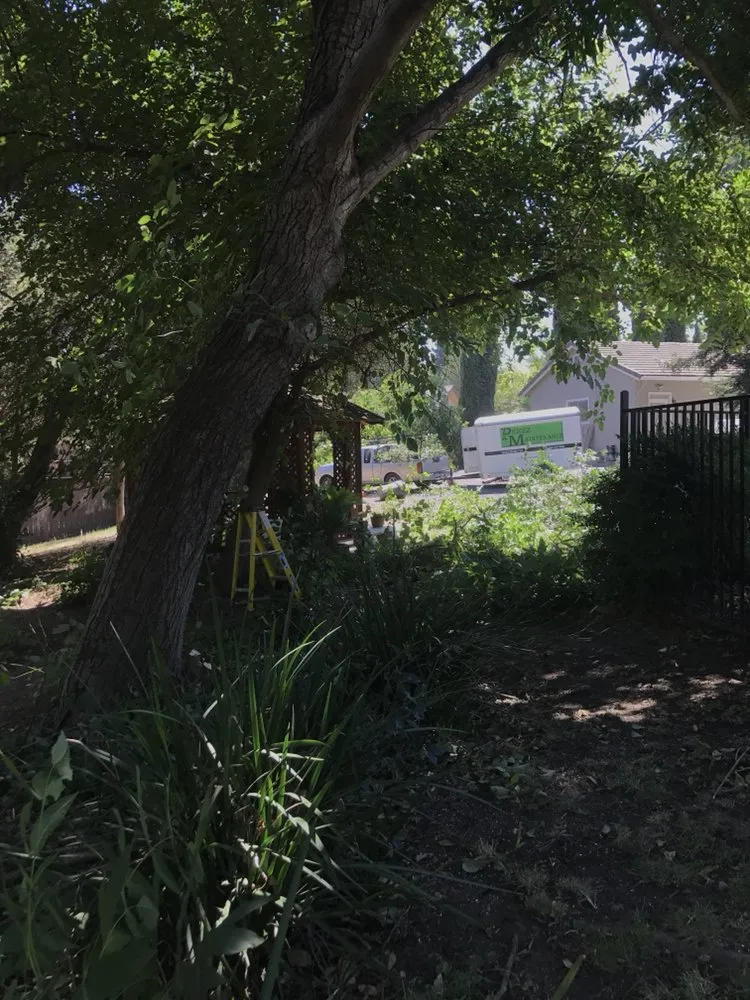 Custom yard maintenance for beautiful yards in Modesto, CA by Perez Maintenance