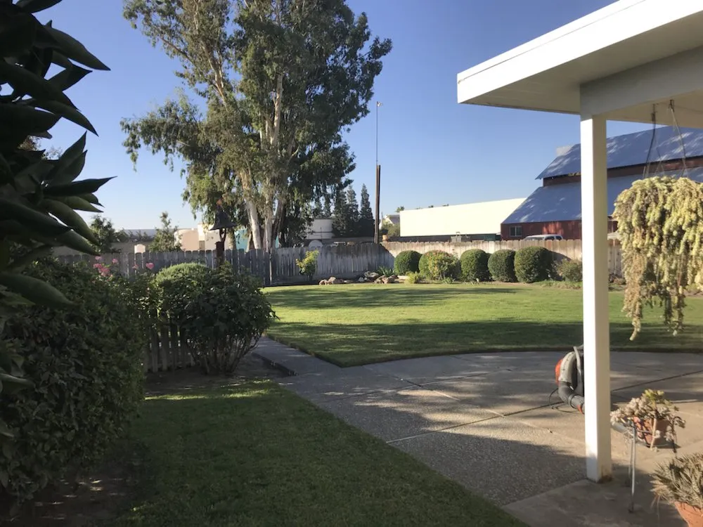 Professional yard maintenance experts serving Modesto, CA - Perez Maintenance