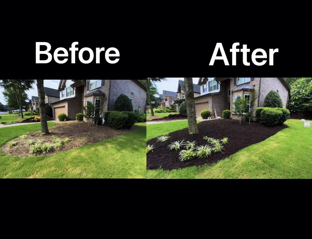 Expert yard cleanup service for homes across Peachtree Corners, GA - Perez Mulch