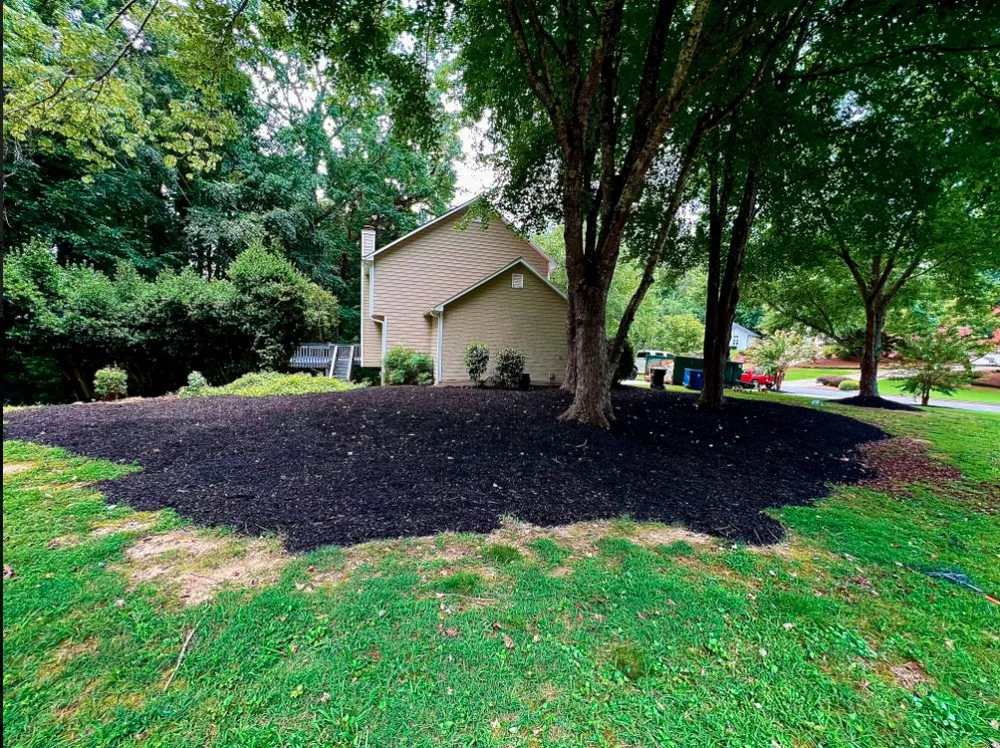 Top-rated lawn care service for year-round maintenance in Peachtree Corners, GA by Perez Mulch