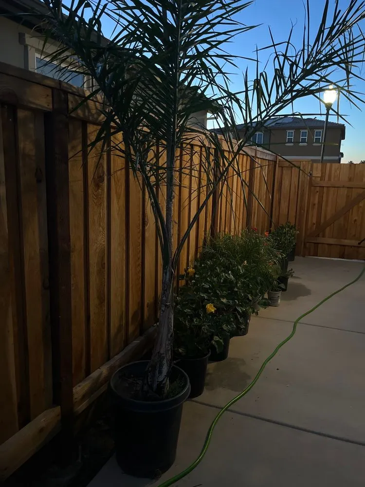 Trusted landscape design in Brentwood, CA - Perez Nursery & Landscaping