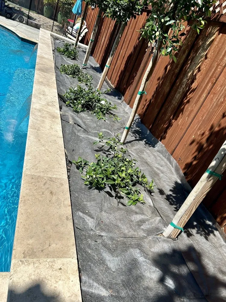 Top-rated yard maintenance in Brentwood, CA - Perez Nursery & Landscaping