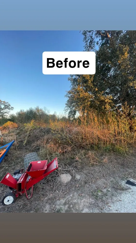 Affordable lawn care service for year-round maintenance in Houston, TX by Perez Outdoor Services