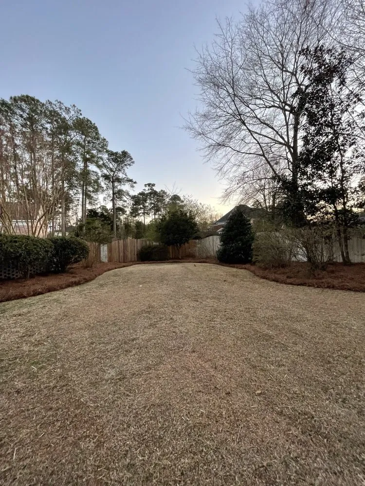 Professional yard maintenance for outdoor upgrades across Greenville, NC - Perez Pro Landscaping