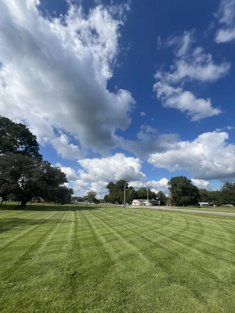 Affordable residential landscaping in Greenville, NC - Perez Pro Landscaping