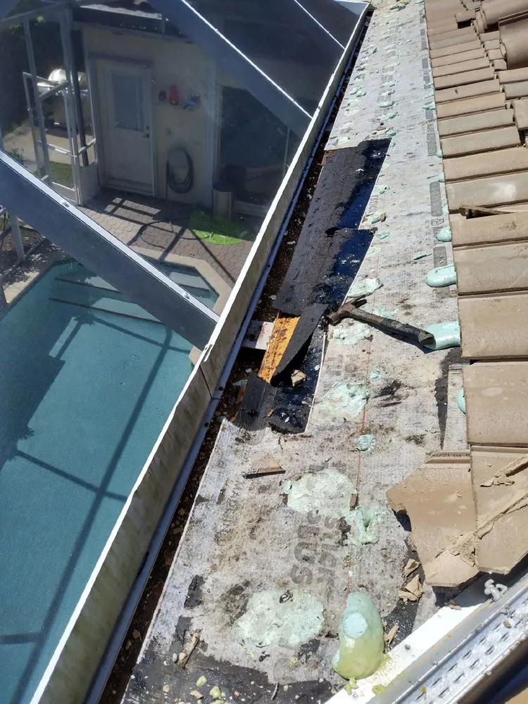 Professional residential landscaping in Fort Lauderdale, FL - Perez Roofing & More