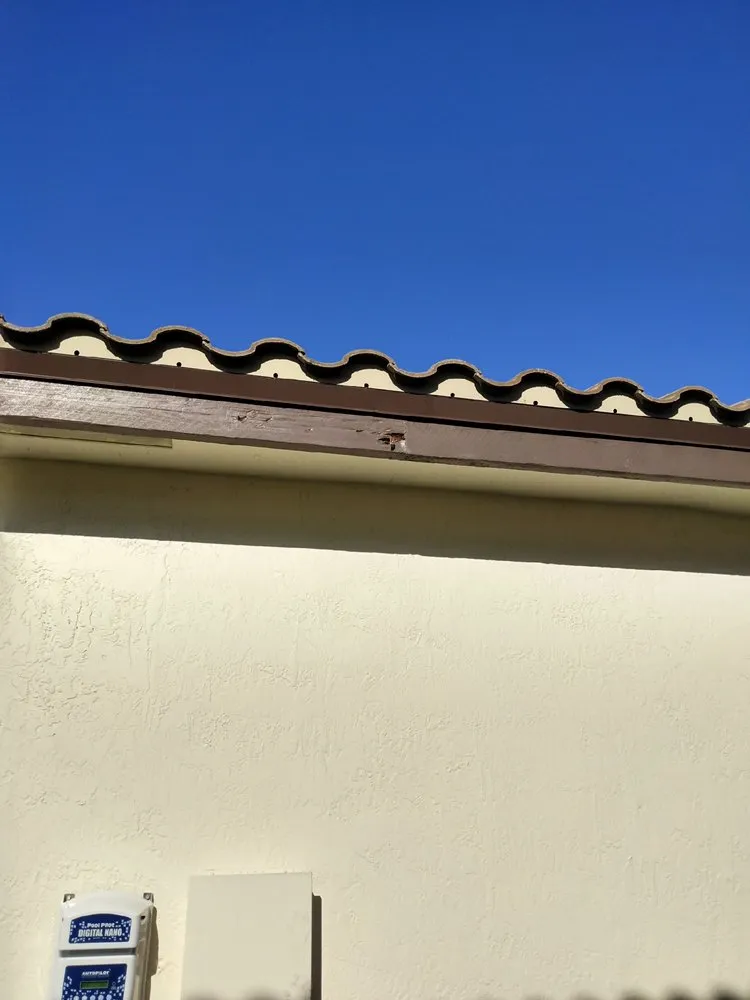 Professional yard maintenance experts serving Fort Lauderdale, FL - Perez Roofing & More