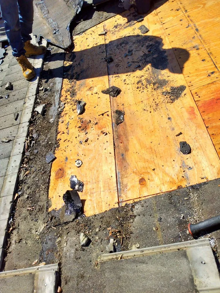 Expert yard cleanup service in Fort Lauderdale, FL - Perez Roofing & More