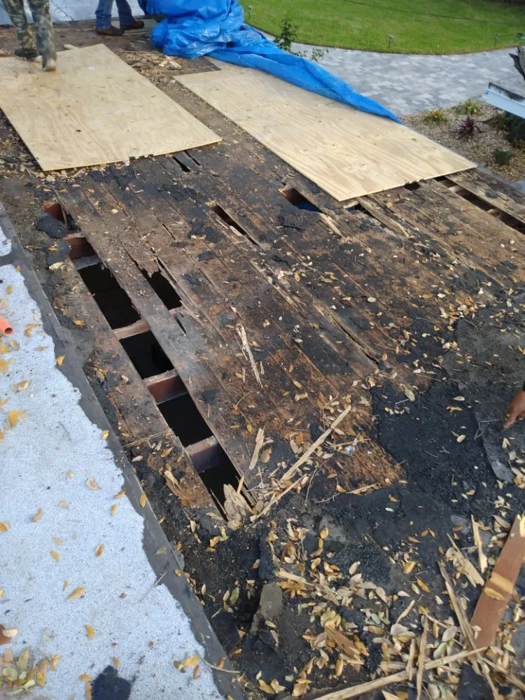 Professional landscaping services in Fort Lauderdale, FL - Perez Roofing & More