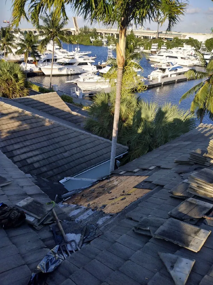 Professional landscape installation for homes across Fort Lauderdale, FL - Perez Roofing & More