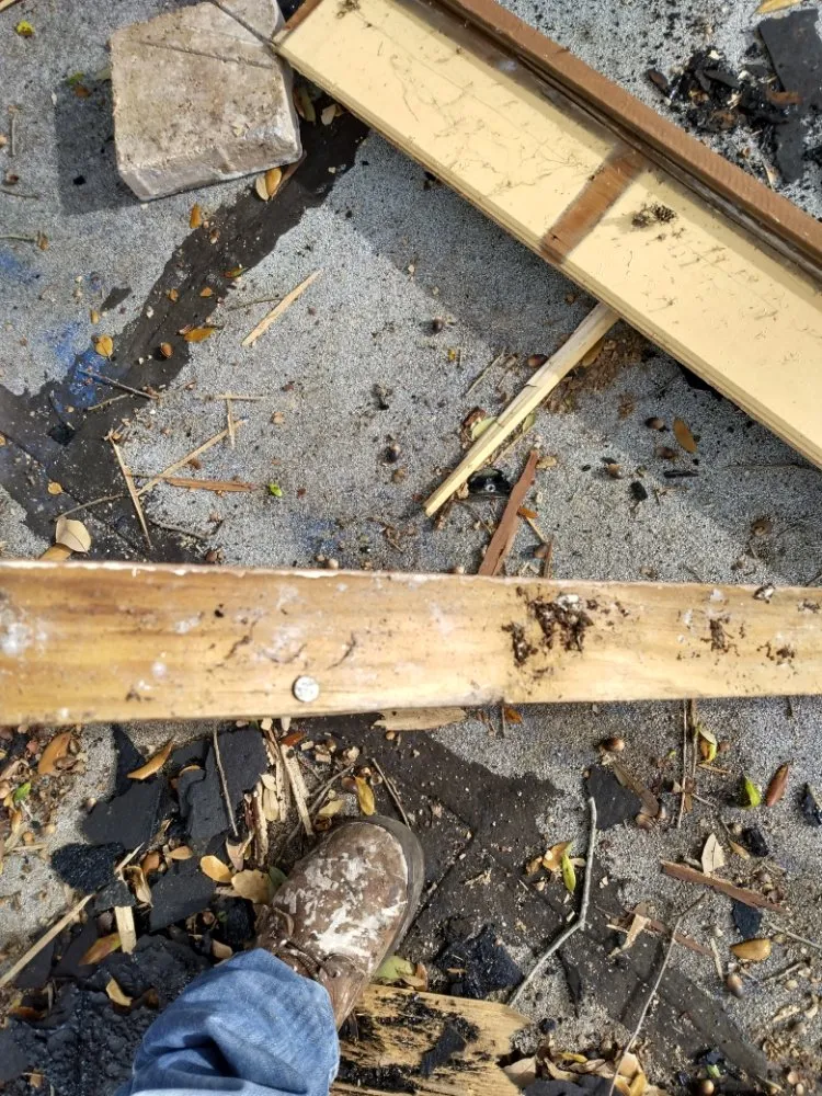 Custom garden landscaping experts serving Fort Lauderdale, FL - Perez Roofing & More