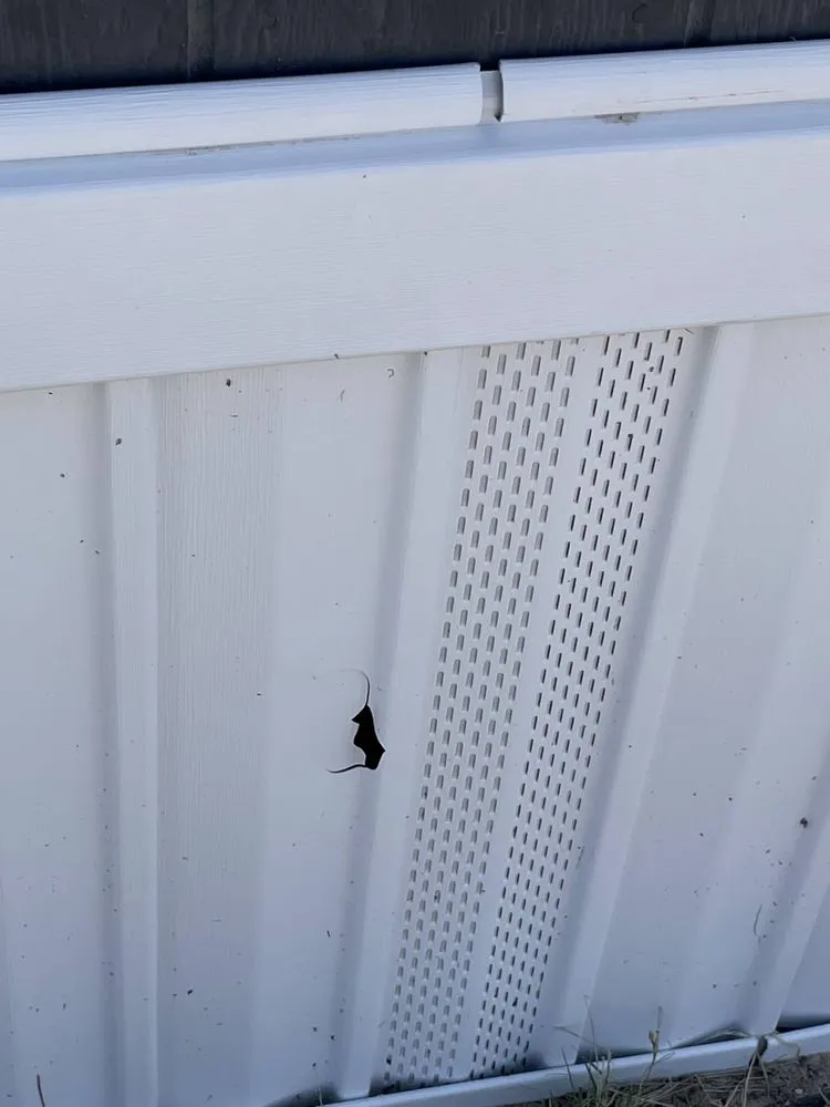 Custom lawn care service for beautiful yards across Artesia, NM - Perez Services