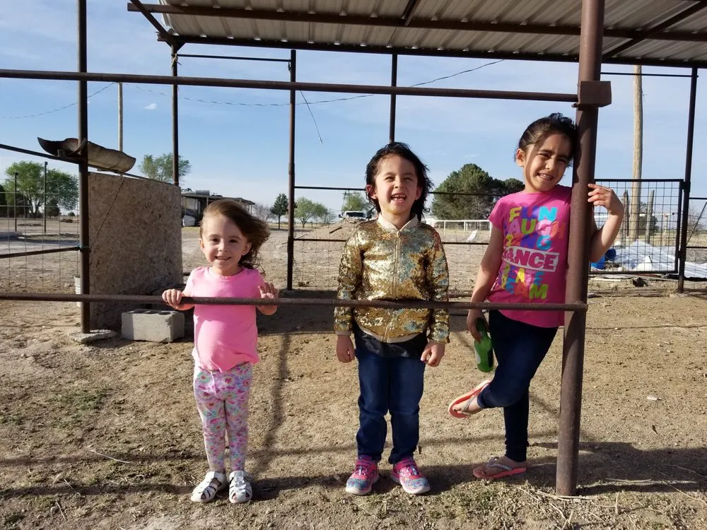 Top-rated lawn care service experts serving Artesia, NM - Perez Services