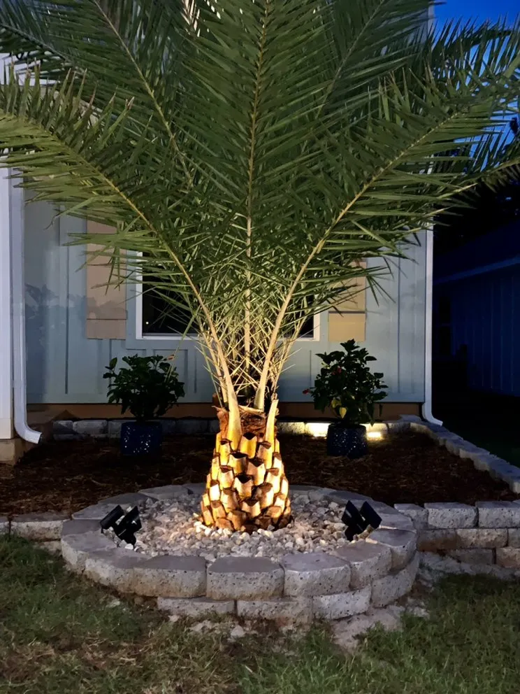 Top-rated outdoor landscaping in Pace, FL by Perez Services