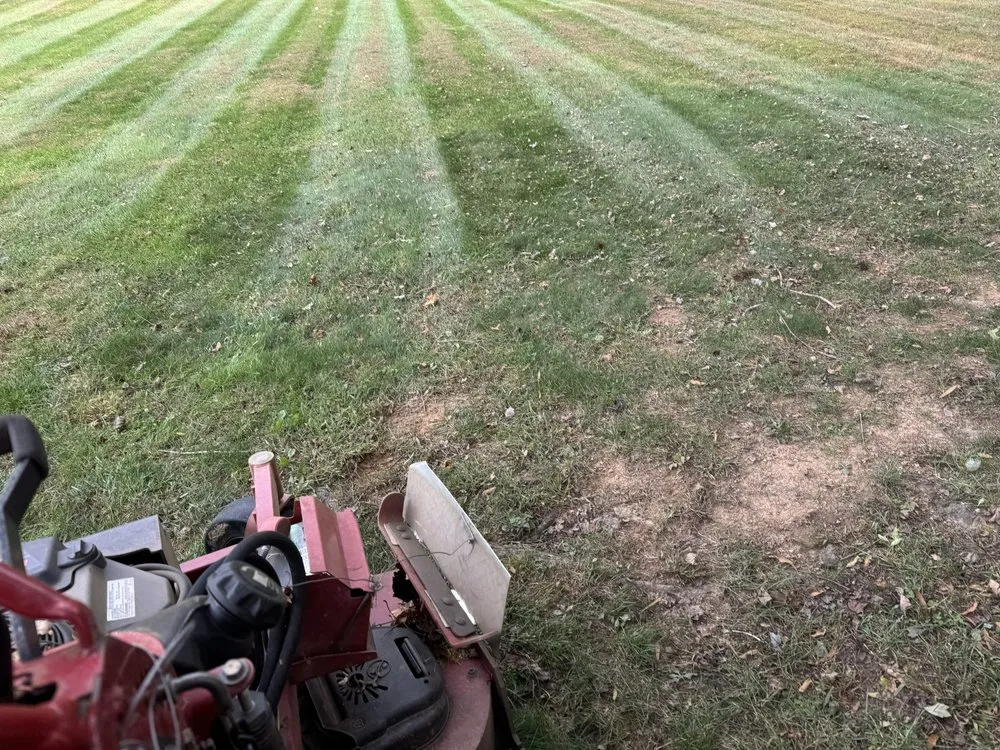 Expert lawn care service for year-round maintenance across Silver Spring, MD - Perez Services