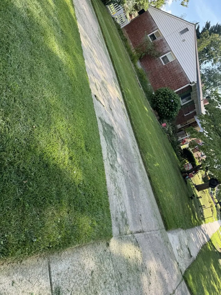 Trusted yard cleanup service for homes in Silver Spring, MD by Perez Services