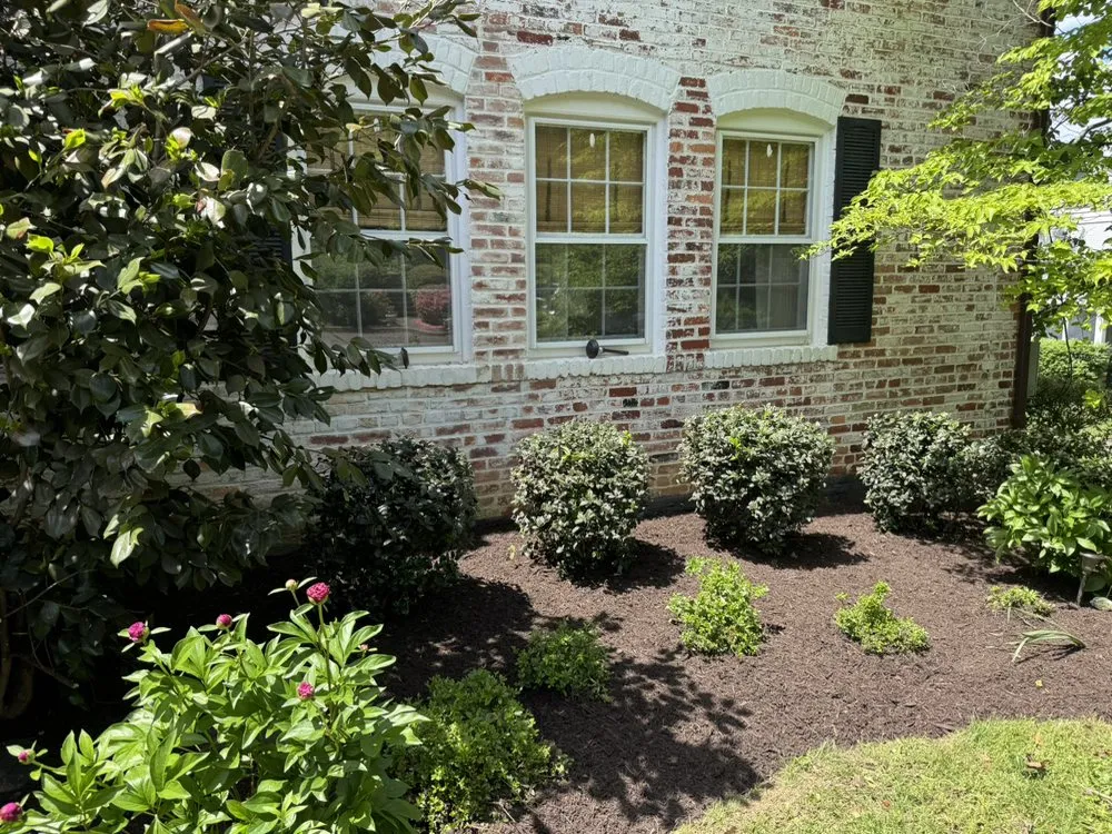 Local lawn mowing service experts serving Silver Spring, MD - Perez Services