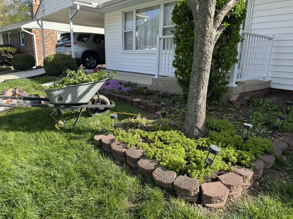 Professional landscape installation with custom design across Silver Spring, MD - Perez Services