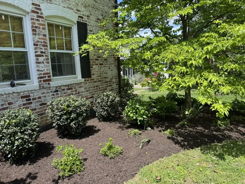 Professional lawn care service experts serving Silver Spring, MD - Perez Services