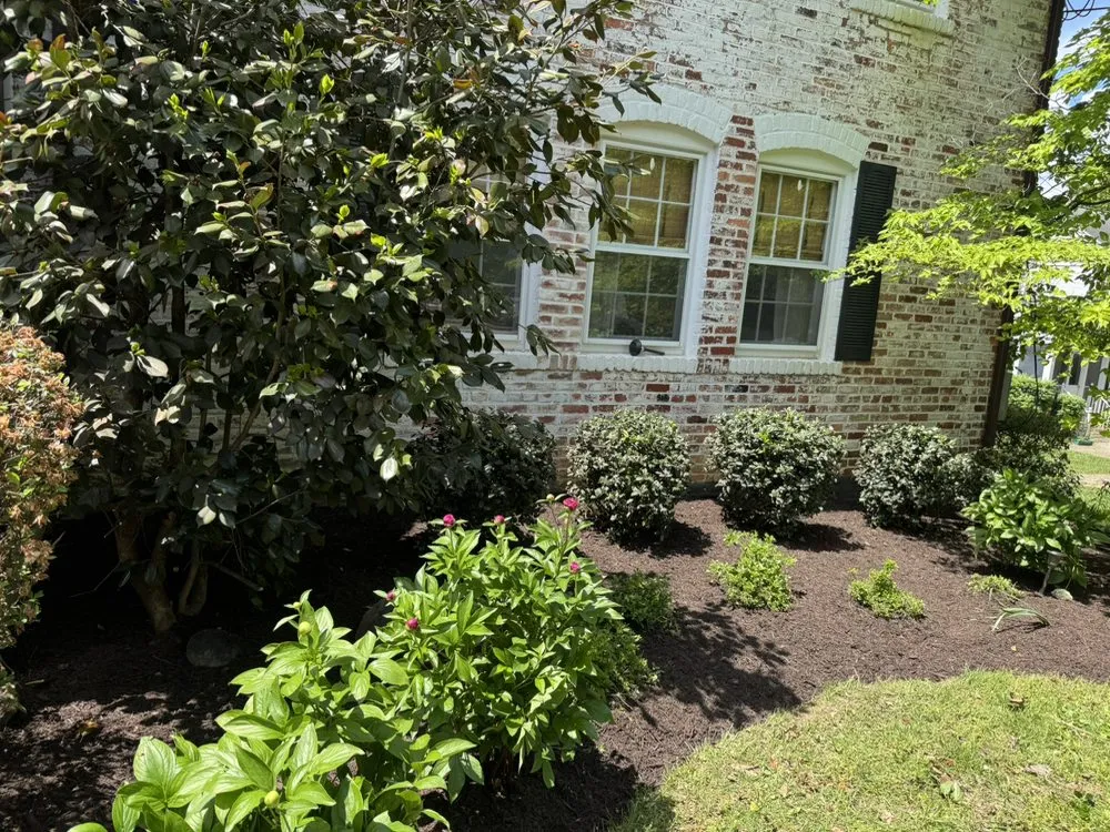 Reliable lawn mowing service in Silver Spring, MD - Perez Services