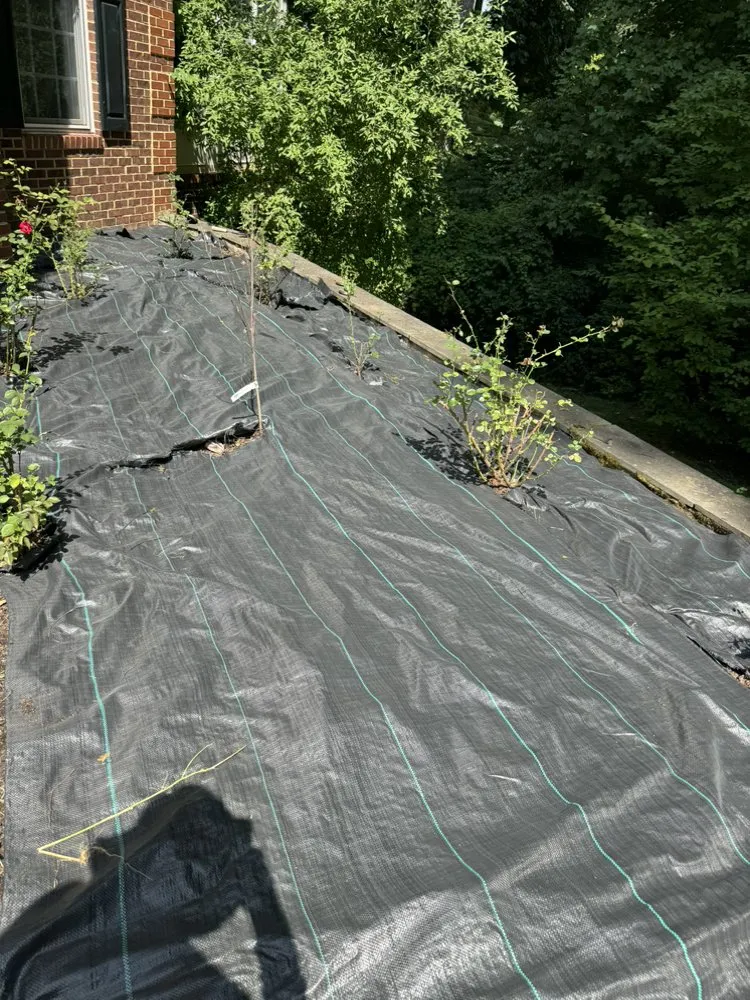 Professional residential landscaping in Silver Spring, MD - Perez Services