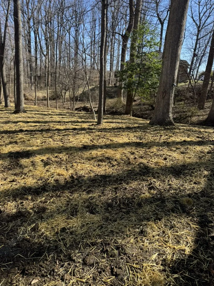 Affordable garden landscaping for outdoor upgrades across Silver Spring, MD - Perez Services