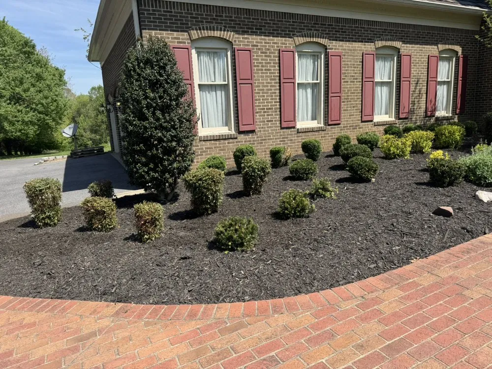 Reliable lawn mowing service in Silver Spring, MD by Perez Services