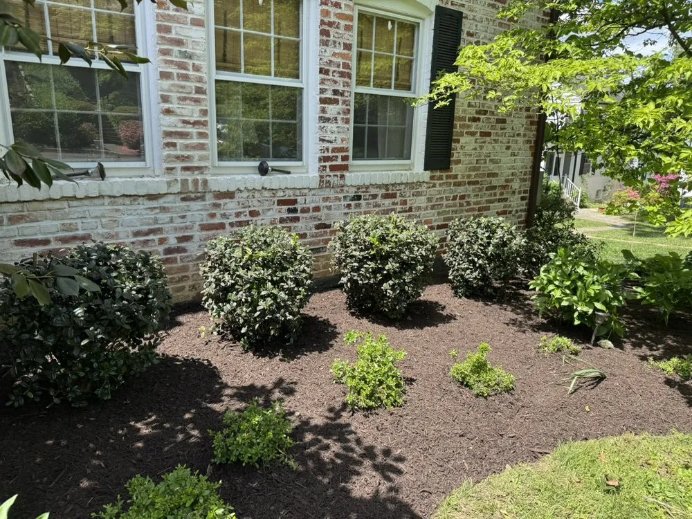Local landscaping services in Silver Spring, MD - Perez Services
