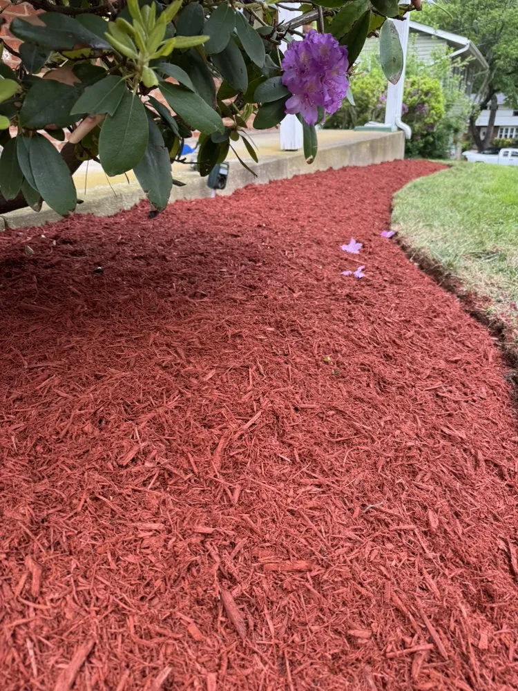 Reliable garden landscaping for residential properties across Silver Spring, MD - Perez Services