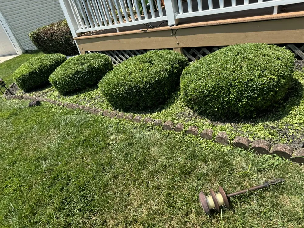Professional landscaping services experts serving Silver Spring, MD - Perez Services