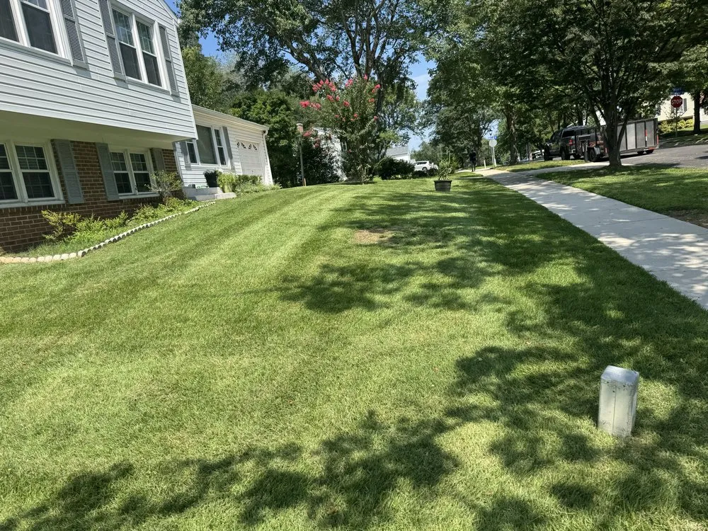 Affordable lawn mowing service experts serving Silver Spring, MD - Perez Services