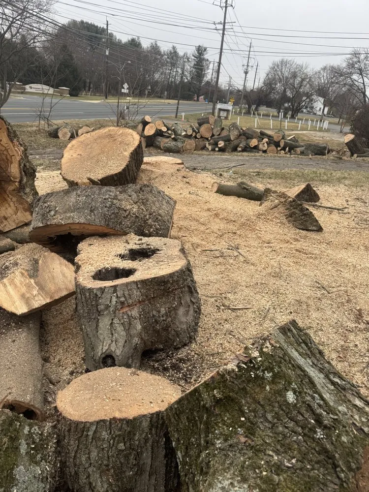 Professional lawn mowing service experts serving Silver Spring, MD - Perez Services