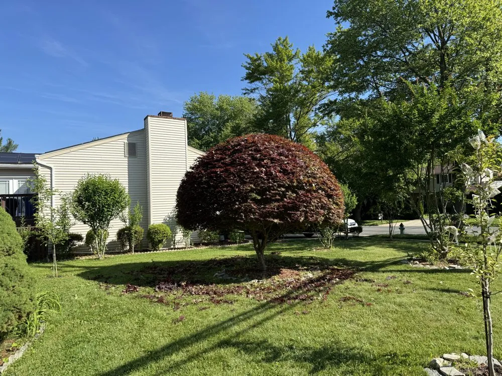 Affordable lawn mowing service in Silver Spring, MD by Perez Services