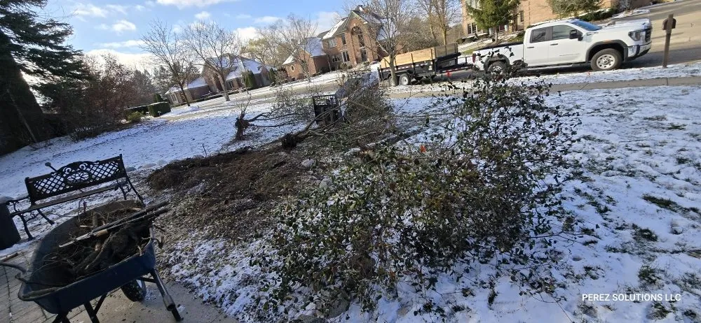 Trusted landscape installation in Westland, MI - Perez Solutions