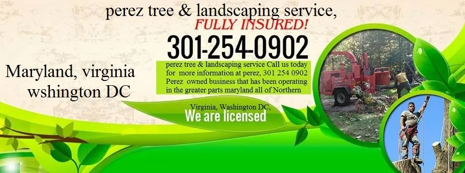 Expert lawn mowing service experts serving Takoma Park, MD - Perez Tree and Landscaping Service