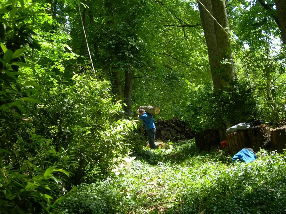 Top-rated lawn care service experts serving Takoma Park, MD - Perez Tree and Landscaping Service