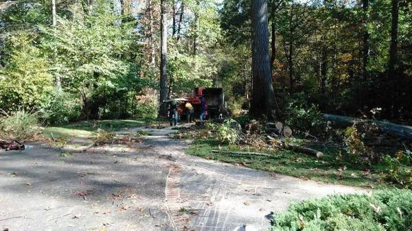 Top-rated garden landscaping for beautiful yards across Takoma Park, MD - Perez Tree and Landscaping Service