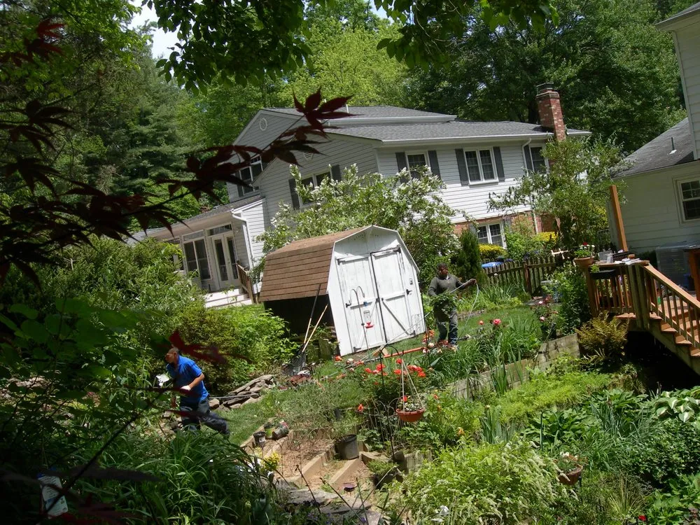 Local yard cleanup service for homes in Takoma Park, MD by Perez Tree and Landscaping Service